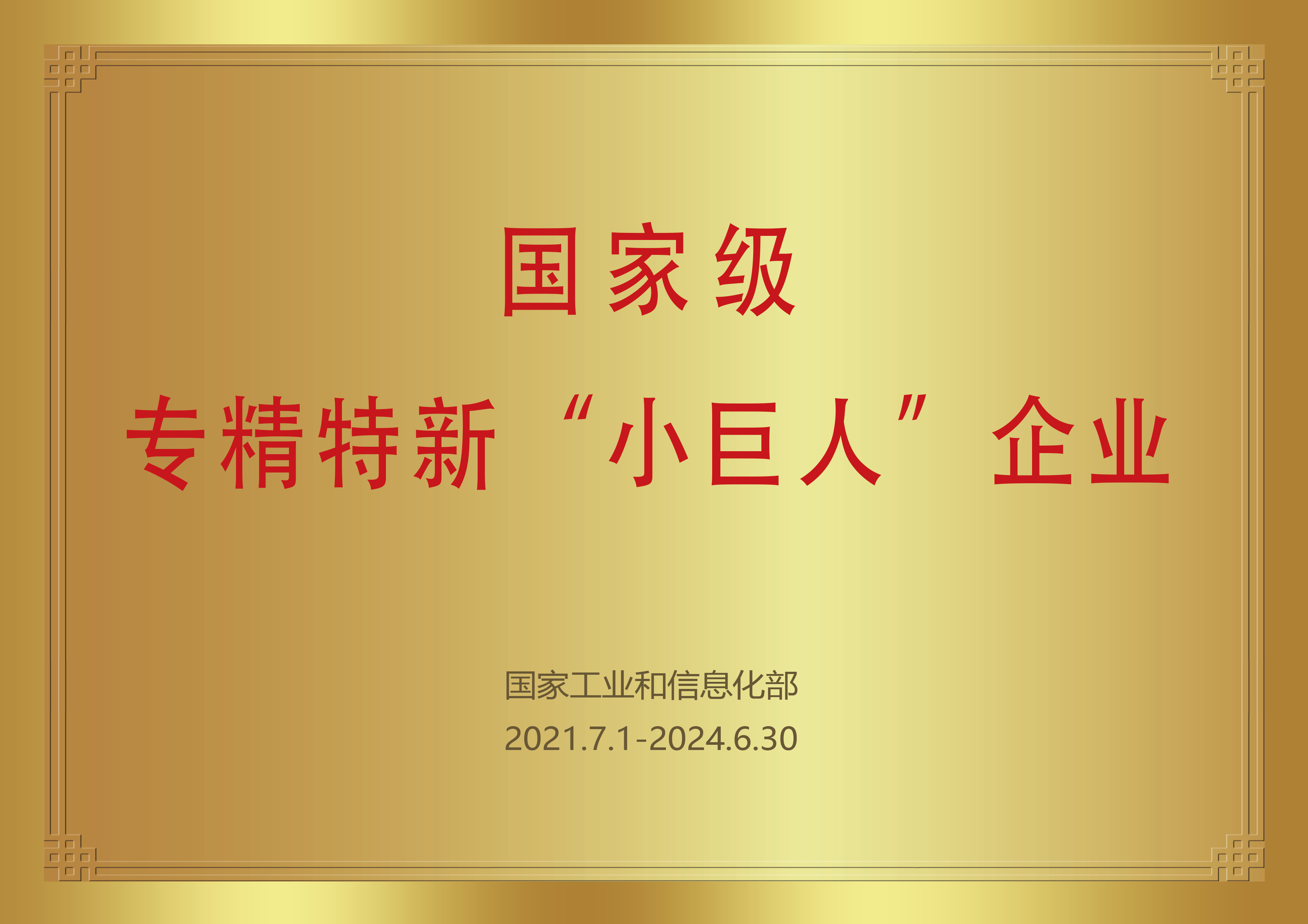 國家級專精特新小巨人證書